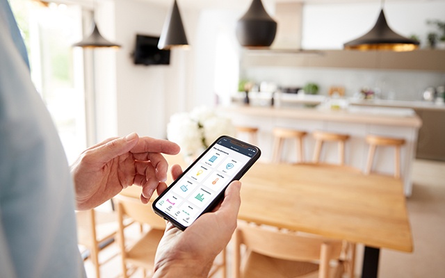 Domotisation micromodules Delta Dore